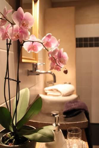 Couette-café La Demeure Des Maitres Chirols